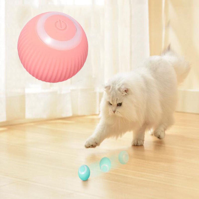 Palreo ™ Interactive Ball