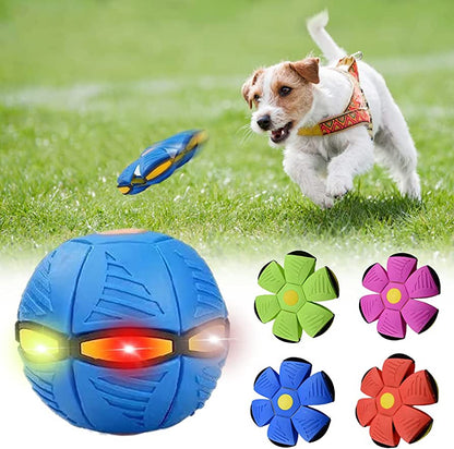 Palreo ™ Dog Frisbee