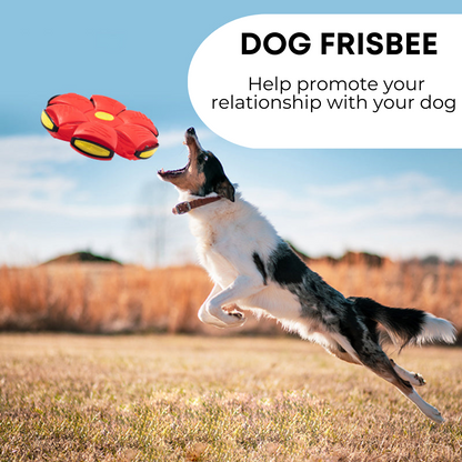Palreo ™ Dog Frisbee