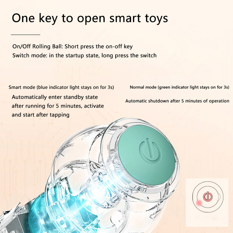 Palreo ™ Interactive Ball