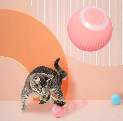 Palreo ™ Interactive Ball