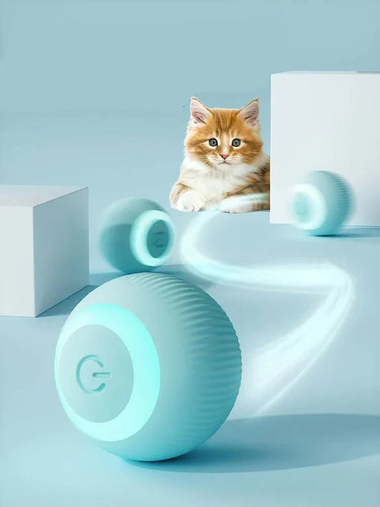 Palreo ™ Interactive Ball