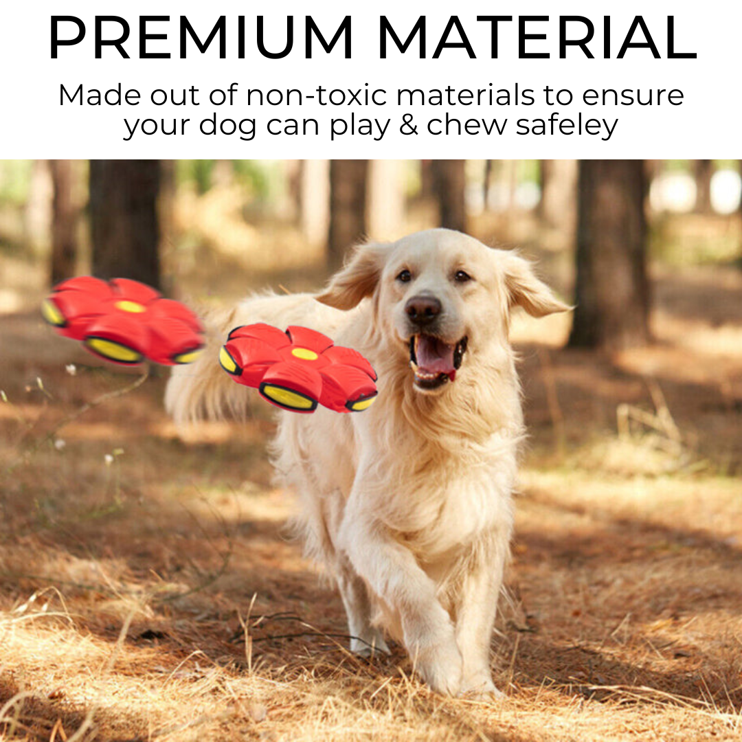 Palreo ™ Dog Frisbee