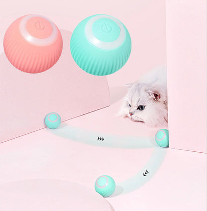 Palreo ™ Interactive Ball